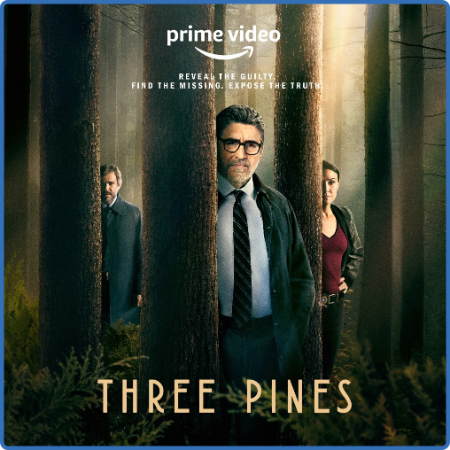 Three Pines S01E05 720p HEVC x265-MeGusta