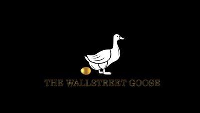 The Wall Street Goose  Course 8d4070e07f0b25c97a8aa54d39127fc1
