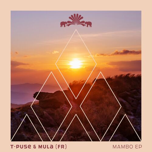 VA - T-Puse & Mula (FR) - Mambo (2022) (MP3)