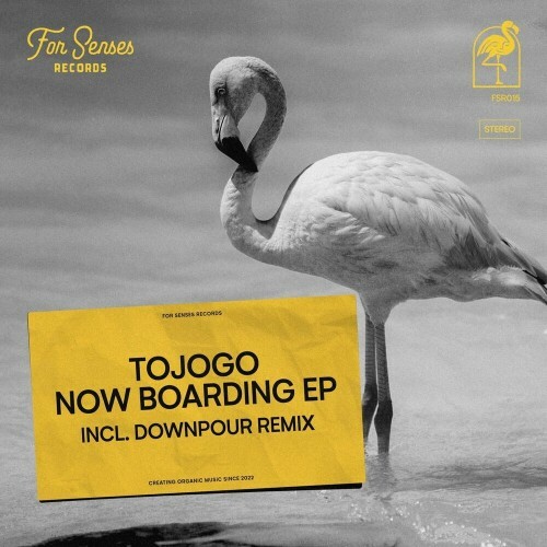 VA - Tojogo - Now Boarding (2022) (MP3)