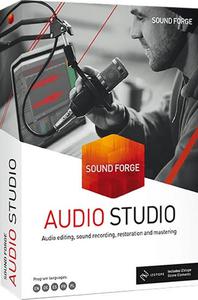 MAGIX SOUND FORGE Audio Studio 16.1.1.54 Multilingual (x86/x64)