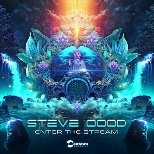 VA - Steve OOOD - Enter the Stream (2022) (MP3)