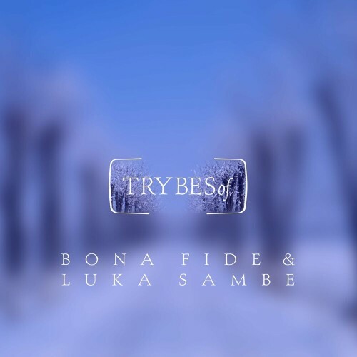 VA - Bona Fide & Luka Sambe - Endless Gaiety (2022) (MP3)