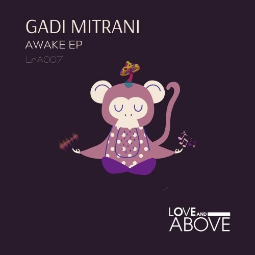 VA - Gadi Mitrani - Awake (2022) (MP3)