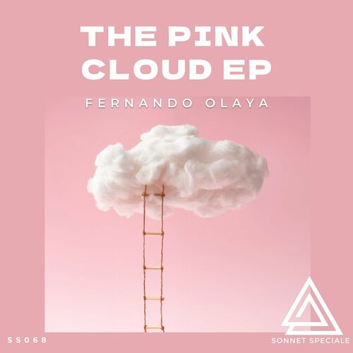 VA - Fernando Olaya - The Pink Cloud (2022) (MP3)