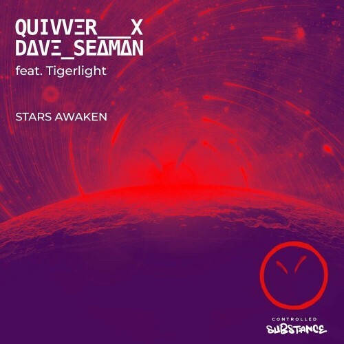VA - Quivver x Dave Seaman ft Tigerlight - Stars Awaken (2022) (MP3)