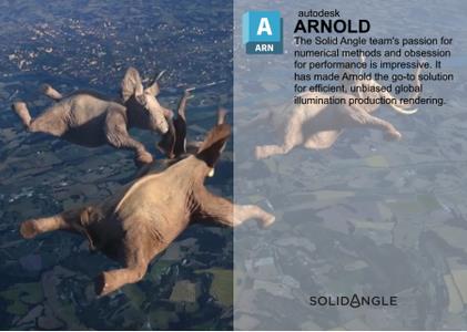 Solid Angle Cinema 4D to Arnold 4.5.1 Win x64