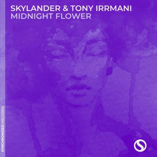 VA - Skylander & Tony Irrmani - Midnight Flower (2022) (MP3)
