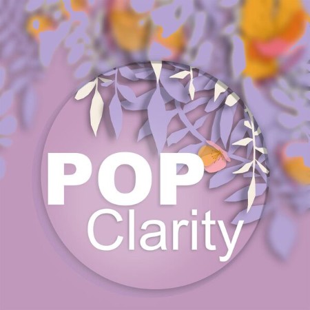 V A  - Pop Clarity (2022 Pop) [Flac 16-44]