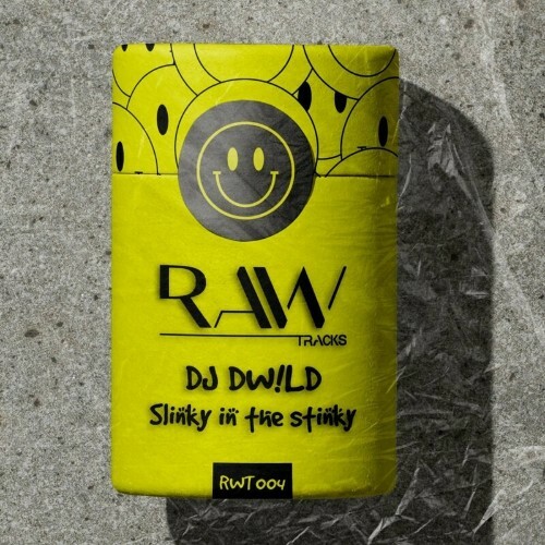 VA - DJ WILD - Slinky In The Stinky (2022) (MP3)