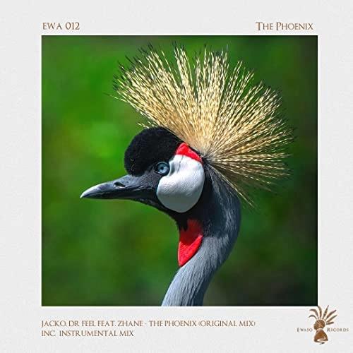 VA - Jacko, Dr Feel feat. Zhané - The Phoenix (2022) (MP3)