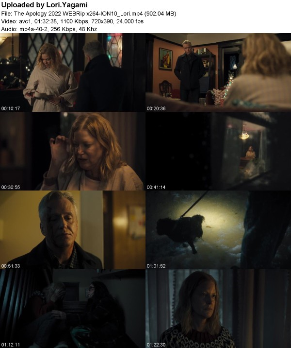 The Apology (2022) WEBRip x264-ION10