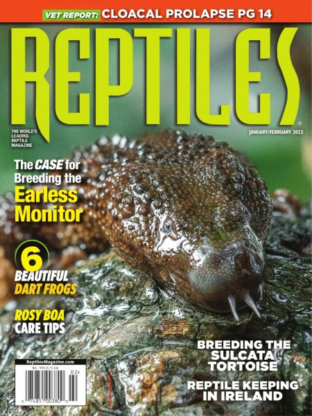 Reptiles - January 2023