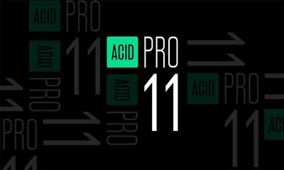 MAGIX ACID Pro   Pro Suite 11.0.2.21 Multilingual