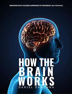 How The Human Brain Works Discover How The Human Brain Is Built