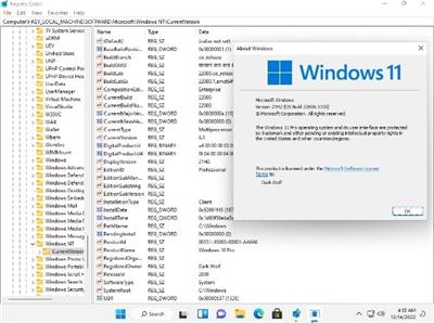 Windows 11 Pro 21H2 Build 22000.1335 x64 EN-US December  2022