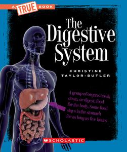 Digestive System (A True Book Health and the Human Body)