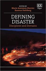 Defining Disaster Disciplines and Domains