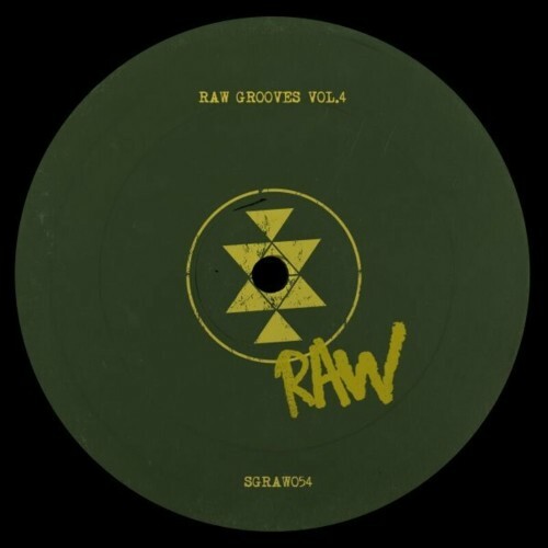 VA - Raw Grooves, Vol. 4 (2022) (MP3)