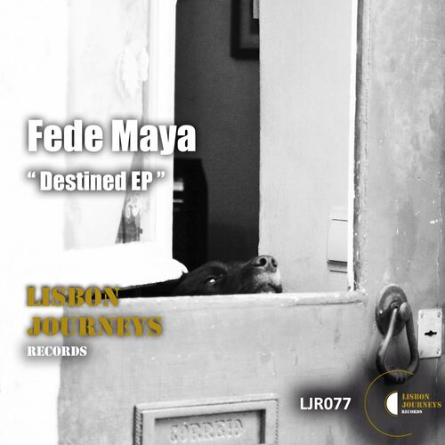 VA - Fede Maya - Destined (2022) (MP3)