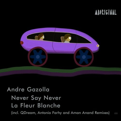 VA - Andre Gazolla - Never Say Never / La Fleur Blanche (2022) (MP3)