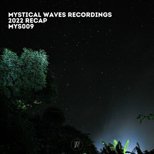 VA - Mystical Waves Recordings 2022 Recap (2022) (MP3)
