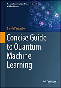 Concise Guide to Quantum Machine Learning