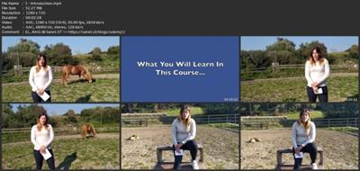 Be A Horse Riding Coach - How To Teach Others  Horsemanship 641a65270c0ad00ee1a6509c81e6c50f