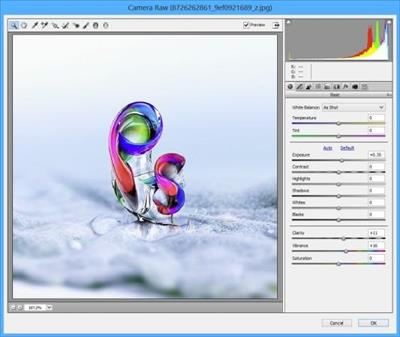Adobe Camera Raw 15.1.1 (x64)
