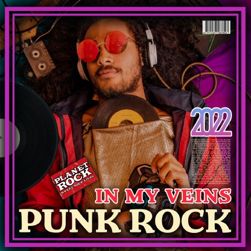 Punk Rock In My Veins (2022) Mp3