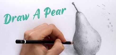 Draw A Pear Realistic Drawing Tutorial For Beginners