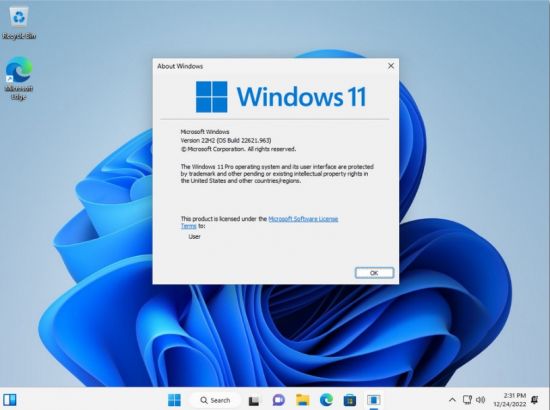 Windows 11 Version 22H2 Build 226621.963 Pro 3in1 x64 OEM ESD MULTi-4 December 2022 No TPM or Sec...