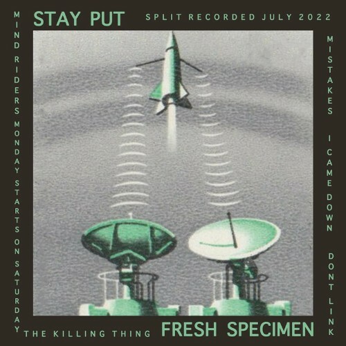 VA - Stay Put / Fresh Specimen - Stay Put / Fresh Specimen (2022) (MP3)