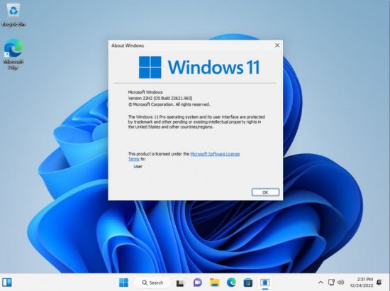 Windows 11 Version 22H2 Build 226621.963 Pro 3in1 x64 OEM ESD MULTi-7 December 2022 No TPM or Sec...