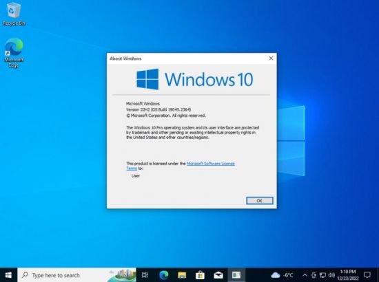 Windows 10 Version 22H2 Build 19045.2364 10in1 OEM ESD en-US (x64) December 2022