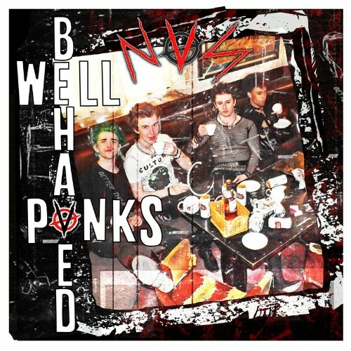 VA - N.V.S - Well Behaved Punks (2022) (MP3)
