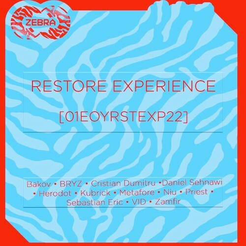 VA - Restore Experience [01EOYRSTEXP22] (2022) (MP3)