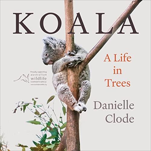 Koala A Life in Trees [Audiobook]