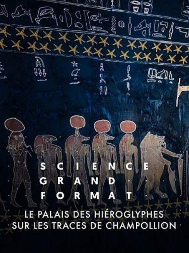   .    / Le palais des hieroglyphes - Sur les traces de Champollion (2022) HDTVRip 720p