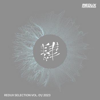 VA - Redux Selection Vol 1 / 2023 (2022) (MP3)