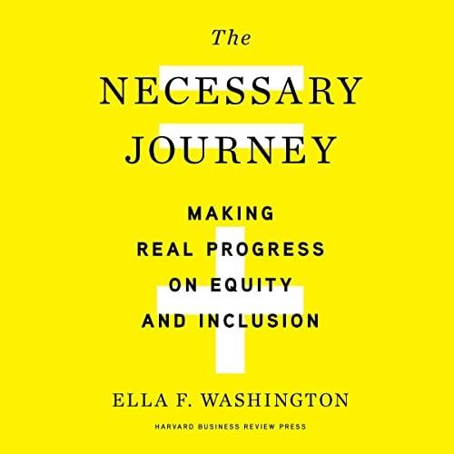 The Necessary Journey Making Real Progress on Equity and Inclusion [Audiobook]