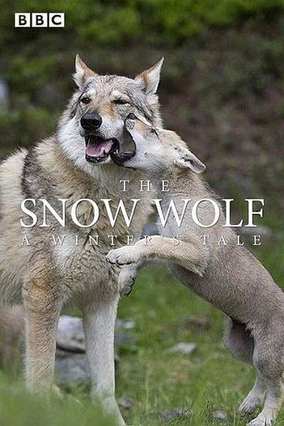Снежный волк. Зимняя сказка / The Snow Wolf: A Winter's Tale (2018) DVB