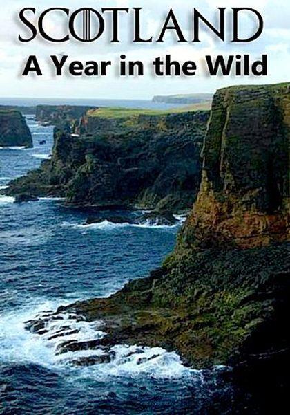 Шотландия: дикий год / Scotland: A Wild Year (2021) HDTVRip