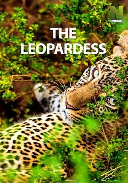   / The Leopardess (2020) HDTVRip