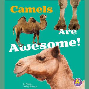 Camels Are Awesome! by Allan Morey