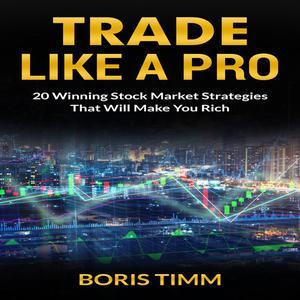 Trade Like a Pro - 20 Winning Stock Market Strategies That Will Make You Rich by Boris Timm