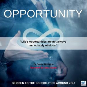 Opportunity by Denis McBrinn