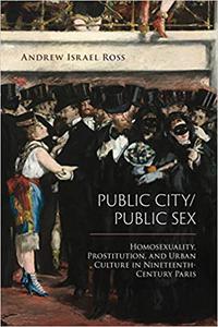 Public City Public Sex Homosexuality, Prostitution, and Urban Culture in Nineteenth-Century Paris