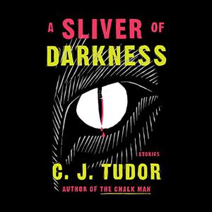 A Sliver of Darkness Stories [Audiobook]