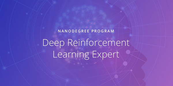 Become a Deep Reinforcement Learning Expert